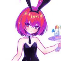 会员A